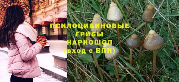 дмт Нефтекумск