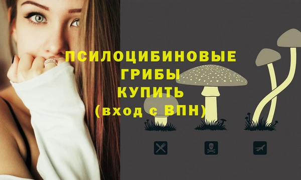 СК Абаза