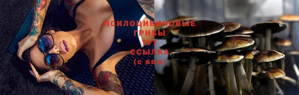 дмт Нефтекумск