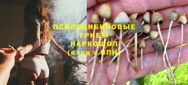 СК Абаза