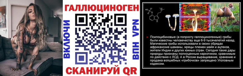 продажа наркотиков KRAKEN зеркало Псилоцибиновые грибы ЛСД Мурино